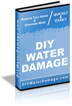 DIY Water Damage Book